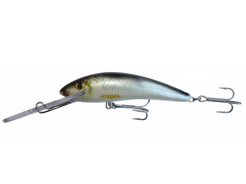 Sneck SDR - obrazek 2