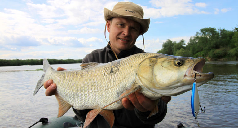 Wisła, bolenie i… namiot