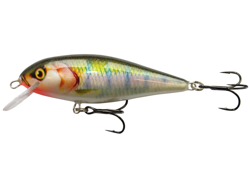 Falcon Shallow - obrazek 2