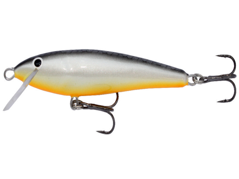 Falcon Shallow - obrazek 6