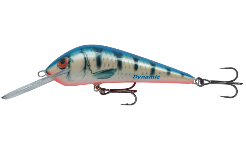 Dynamic Plus - obrazek 6