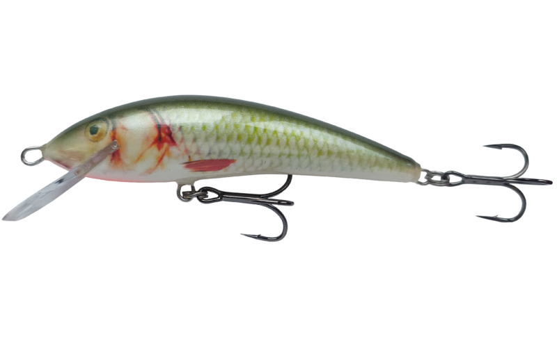 Sneck shallow - obrazek 5