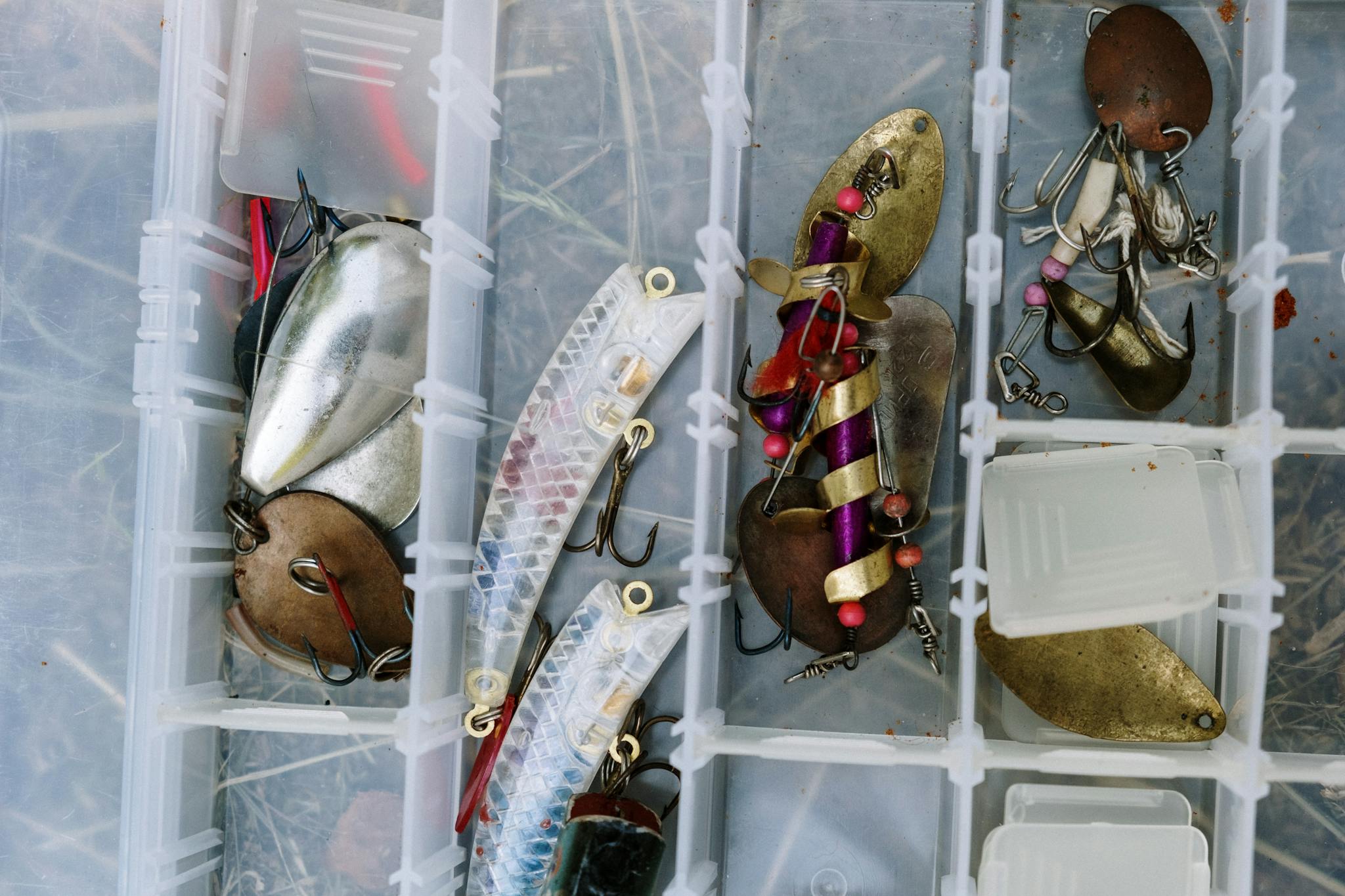 Top view of various fishing lures in a compartmentalized tackle box, showcasing vibrant fishing gear.
